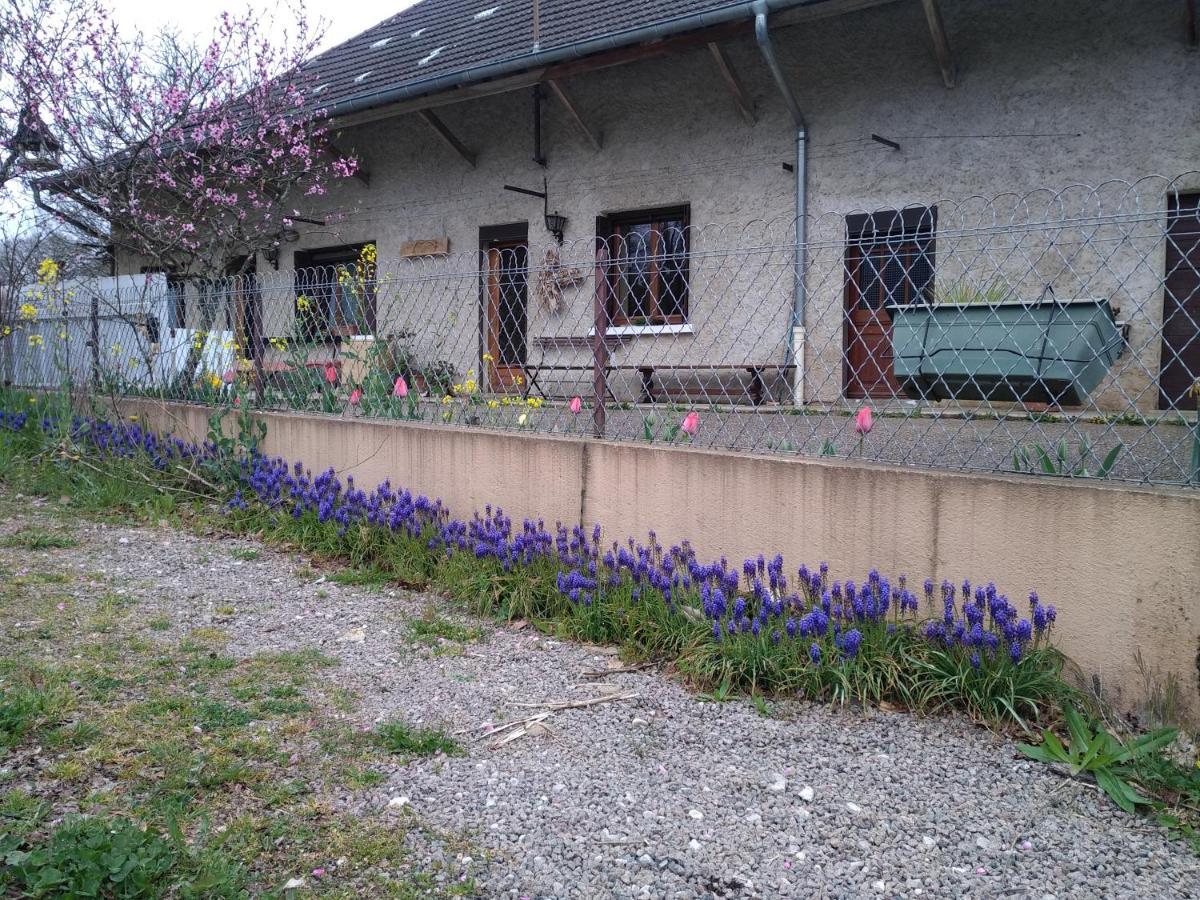 ColonneChez Domi Syl Gite Nature公寓 外观 照片