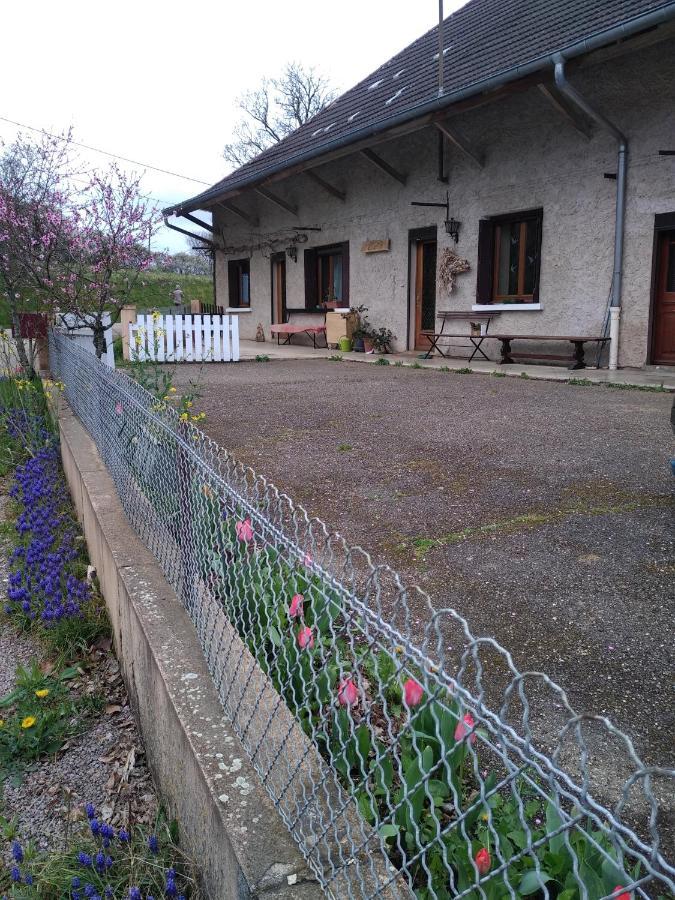 ColonneChez Domi Syl Gite Nature公寓 外观 照片